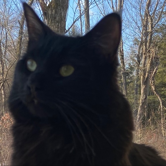 Meet your Posher, Ashley - Picture 1 of 1